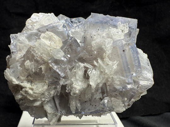 Fluorite-42