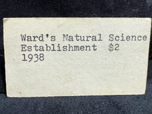 Load image into Gallery viewer, Azurite-05