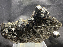 Load image into Gallery viewer, Garnet-19