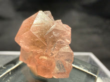 Load image into Gallery viewer, Garnet-23