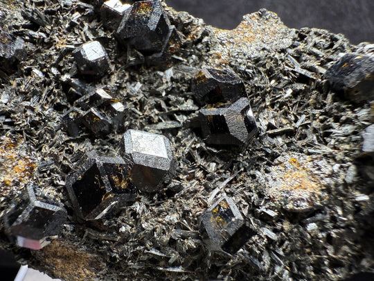 Garnet-19