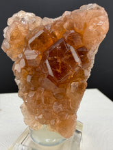 Load image into Gallery viewer, Garnet-24
