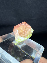 Load image into Gallery viewer, Garnet-03