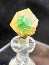 Load image into Gallery viewer, Garnet-04