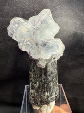 Load image into Gallery viewer, Fluorite-03