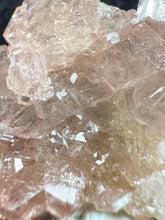Load image into Gallery viewer, Garnet-06
