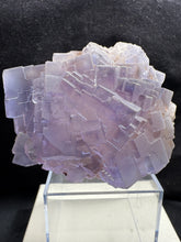 Load image into Gallery viewer, Fluorite-09