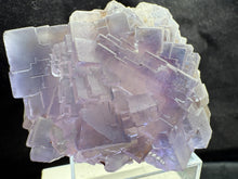 Load image into Gallery viewer, Fluorite-09