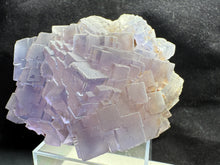 Load image into Gallery viewer, Fluorite-09