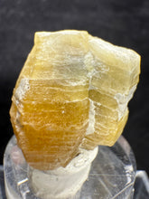 Load image into Gallery viewer, Weloganite-01