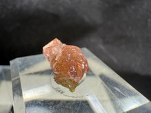 Load image into Gallery viewer, Garnet-08