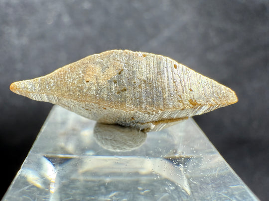 Anatase-01