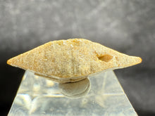 Load image into Gallery viewer, Anatase-01