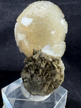 Load image into Gallery viewer, Stellerite-01