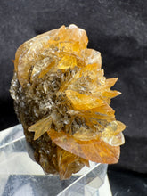 Load image into Gallery viewer, Gypsum-03