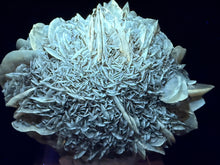Load image into Gallery viewer, Gypsum-03
