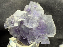 Load image into Gallery viewer, Fluorite-18