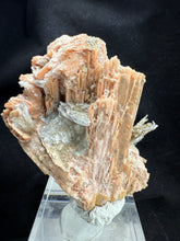 Load image into Gallery viewer, Schizolite-01