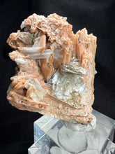 Load image into Gallery viewer, Schizolite-01