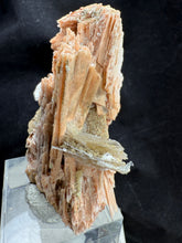 Load image into Gallery viewer, Schizolite-01