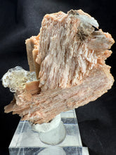 Load image into Gallery viewer, Schizolite-01