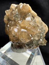 Load image into Gallery viewer, Garnet-15