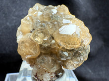 Load image into Gallery viewer, Garnet-15
