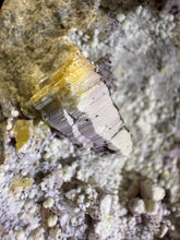 Load image into Gallery viewer, Weloganite-02