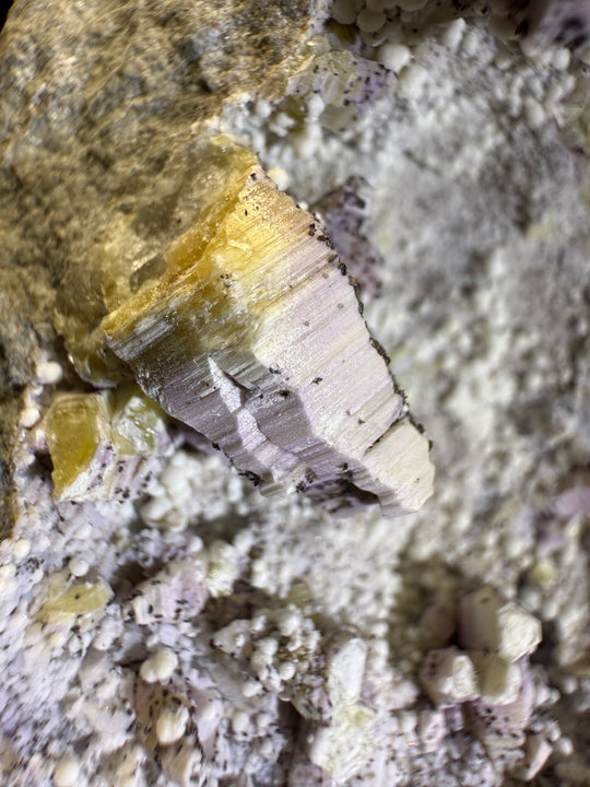Weloganite-02