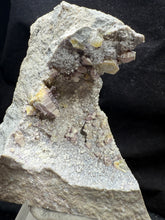 Load image into Gallery viewer, Weloganite-02