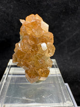 Load image into Gallery viewer, Garnet-20