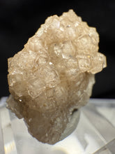 Load image into Gallery viewer, Garnet-22