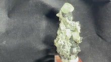 Load and play video in Gallery viewer, Fluorite-36