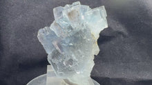 Load and play video in Gallery viewer, Fluorite-16