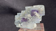 Load and play video in Gallery viewer, Fluorite-31