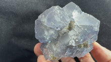 Load and play video in Gallery viewer, Fluorite-19