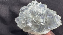 Load and play video in Gallery viewer, Fluorite-21