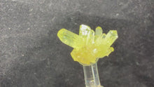 Load and play video in Gallery viewer, Vesuvianite-13