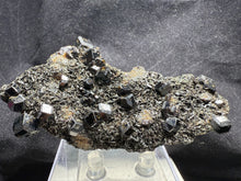 Load image into Gallery viewer, Garnet-19
