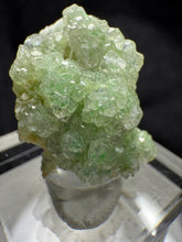 Load image into Gallery viewer, Garnet-18
