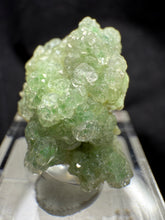 Load image into Gallery viewer, Garnet-18
