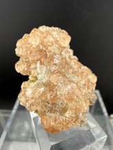 Load image into Gallery viewer, Garnet-31
