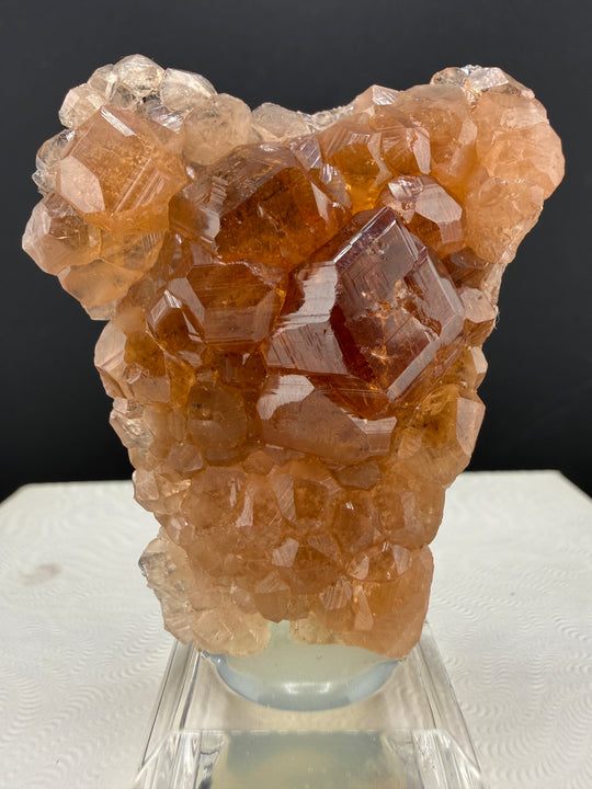 Garnet-24