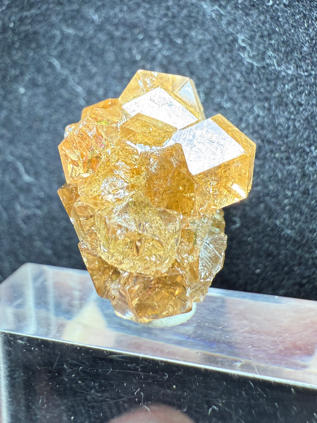 Garnet-01