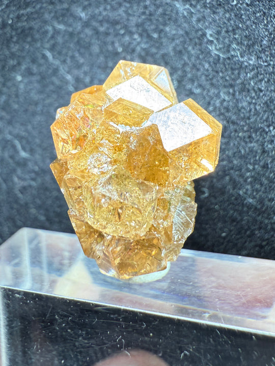 Garnet-01