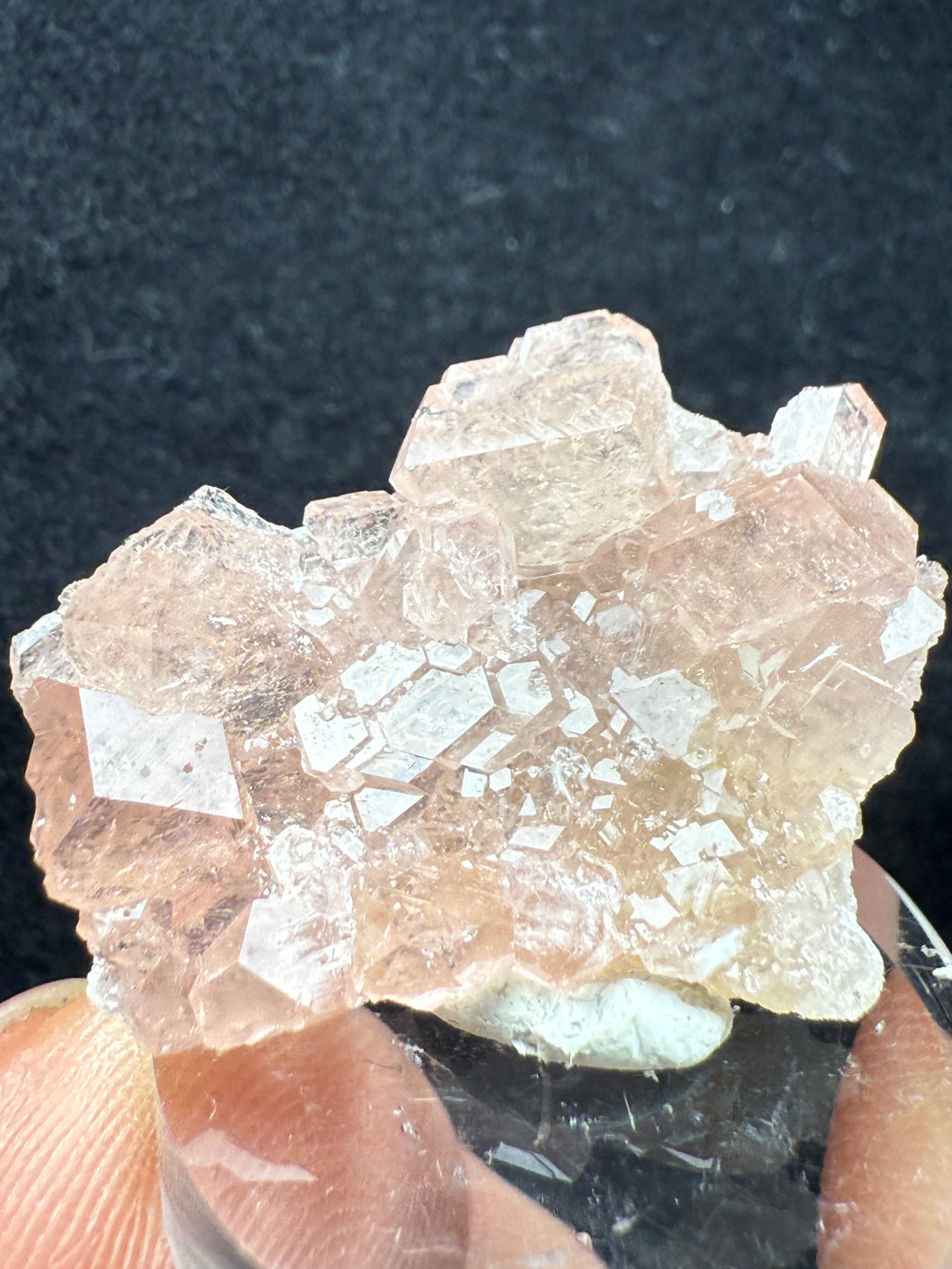 Garnet-06