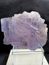Load image into Gallery viewer, Fluorite-09
