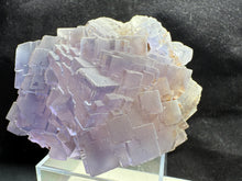 Load image into Gallery viewer, Fluorite-09
