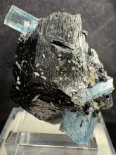 Load image into Gallery viewer, Aquamarine-01
