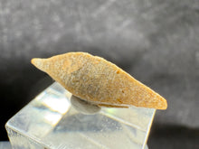 Load image into Gallery viewer, Anatase-01
